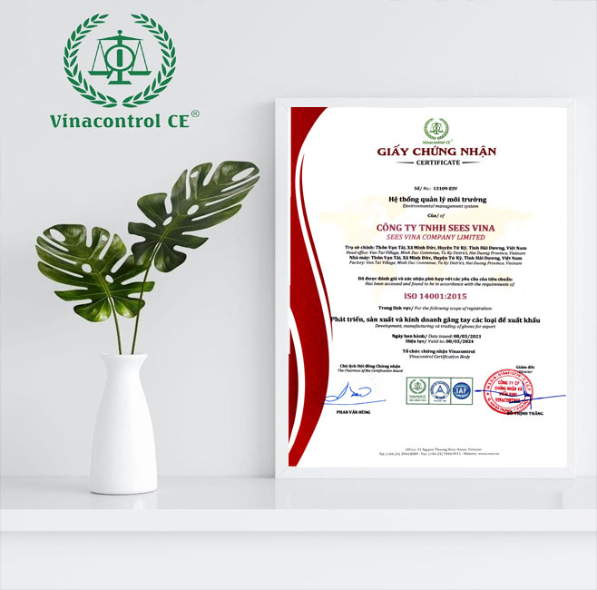 Chứng chỉ ISO 14001 được Vinacontrol CE HCM cấp cho doanh nghiệp
