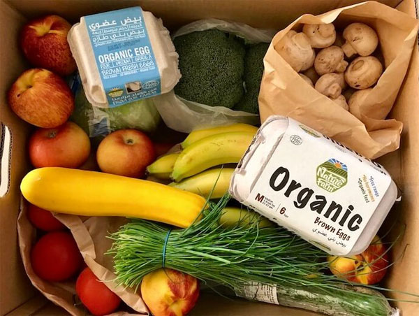 Chứng nhận Organic giúp doanh nghiệp đáp ứng nhu cầu của khách hàng đồng thời gia tăng lợi nhuận cho tổ chức