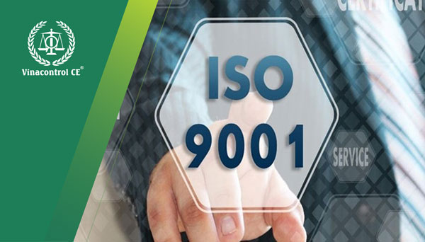 Quy trình ISO 9001 cho doanh nghiệp cách thức thực hiện quá trình một cách hiệu quả nhất