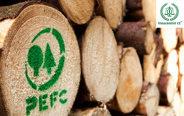 Chứng chỉ rừng PEFC được chứng nhận trên toàn thế giới