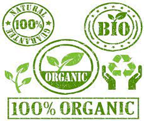Giấy chứng nhận hữu cơ – Organic được cấp cho sản phẩm đạt tiêu chuẩn hữu cơ của quốc gia hay thế giới