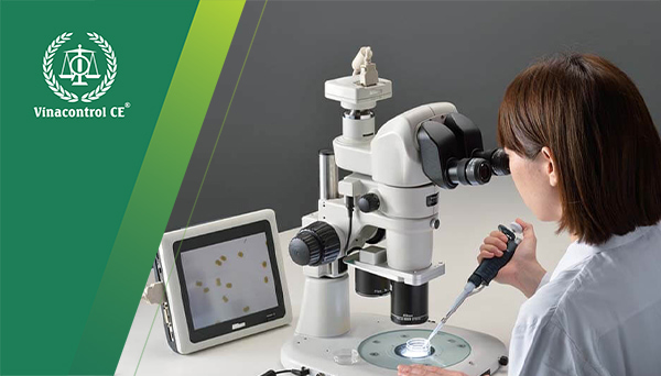 Vinacontrol CE HCM thực hiện hiệu chuẩn kính hiển vi