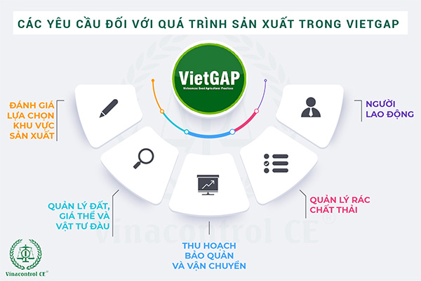 Các yêu cầu sản xuất trong tiêu chuẩn VietGAP trồng trọt