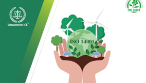 Hướng dẫn xây dựng tài liệu ISO 14001