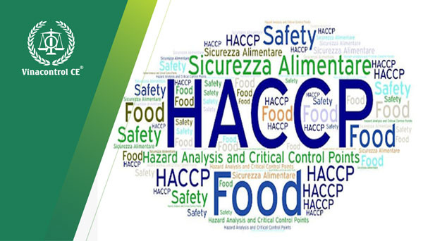 haccp codex là gì